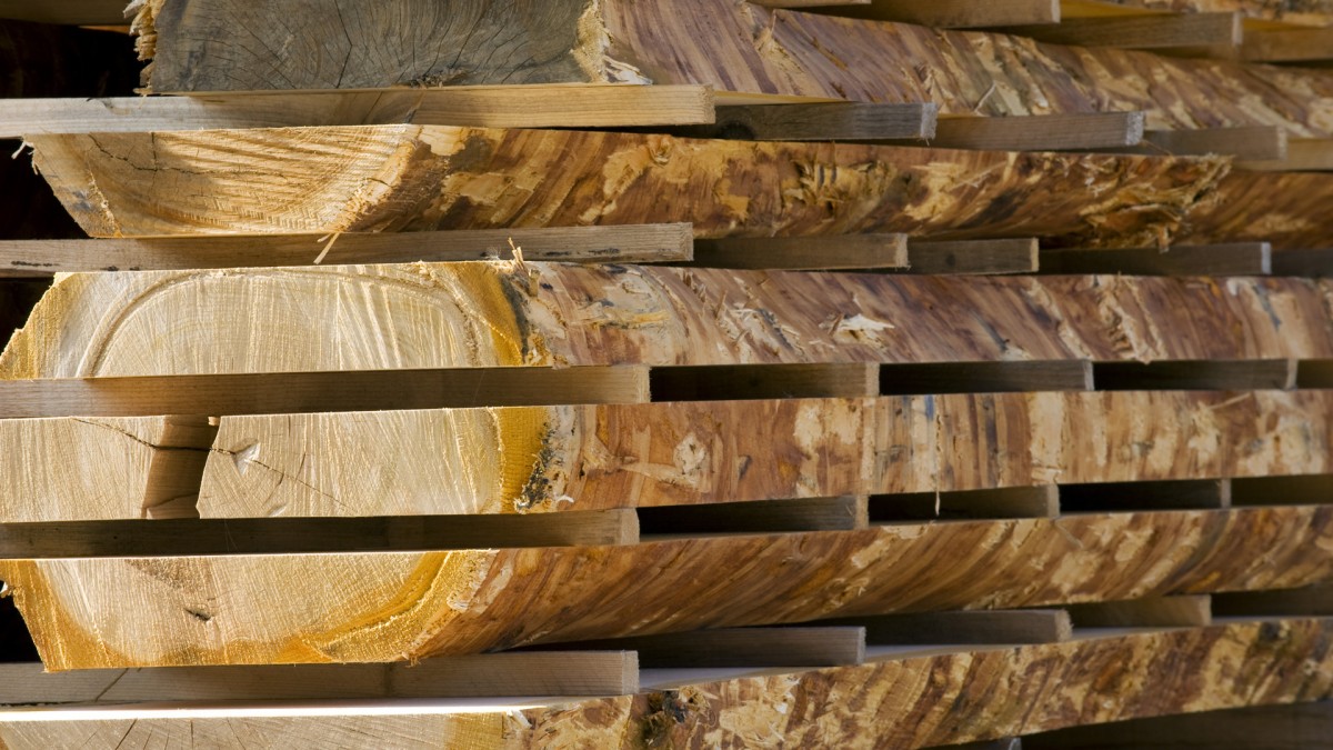Séchage Scierie du Lomont dans le Doubs